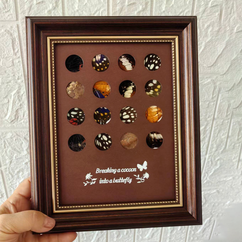 蝴蝶标本框植物干花手工画框眼影盘蝶翅画框立体摆台DIY创意礼物
