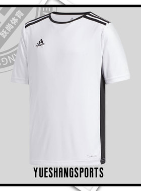 Adidas/阿迪达斯正品男大童ENTRADA 18 JSYY运动T恤 CF1044