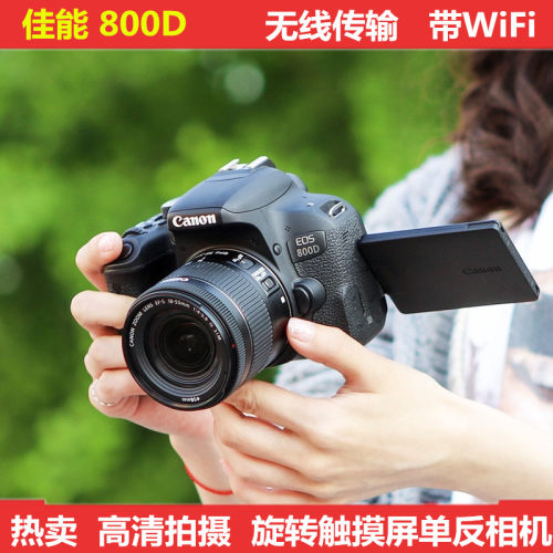 佳能800D专业入门单反数码照相机