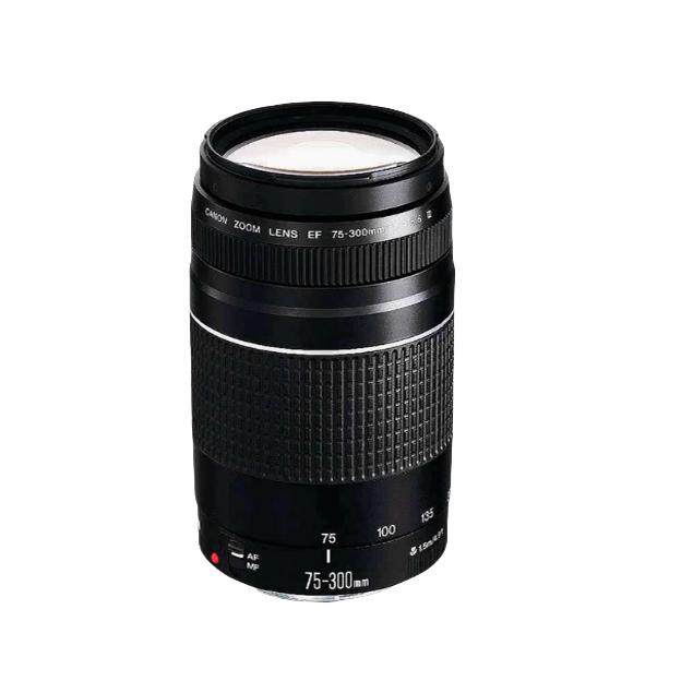 Canon/佳能EF 75-300mm f/4-5.6 III 远摄长焦单反镜头75-300镜头