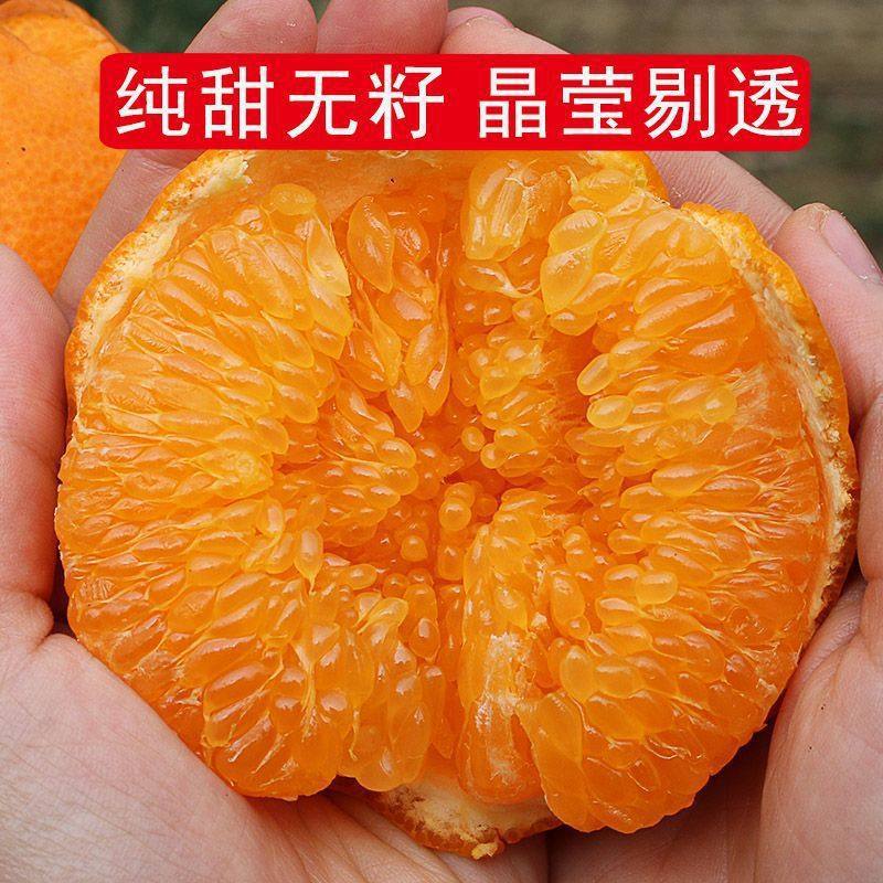 正宗四川精选粑粑柑春见眉山当季新鲜甜水果现摘整箱蜜橘金桔子8J,水产肉类/新鲜蔬果/熟食,桔子,淘宝优惠券,粉丝福利购,淘宝优惠卷