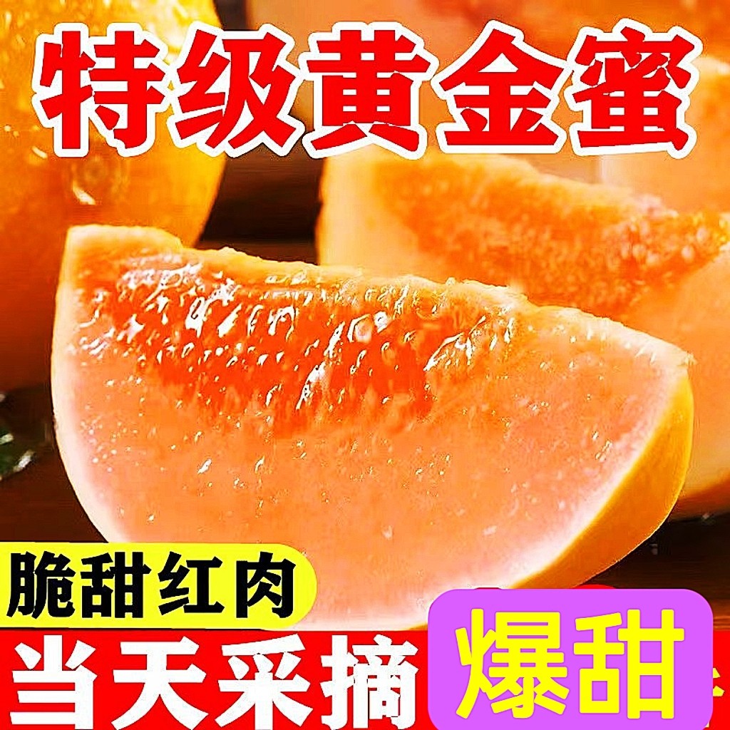 大漠黄金蜜瓜沙漠民勤蜜瓜武威戈壁黄河瓜新鲜季节水果特甜特级瓜
