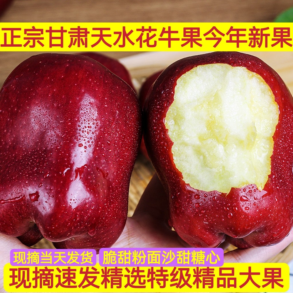现摘红元帅甘肃花牛苹果红星粉面苹果
