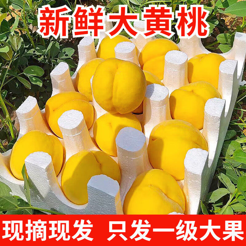 陕西脆桃黄桃新鲜水果黄心黄肉当季桃子软硬吃孕妇黄金蜜桃头茬5J