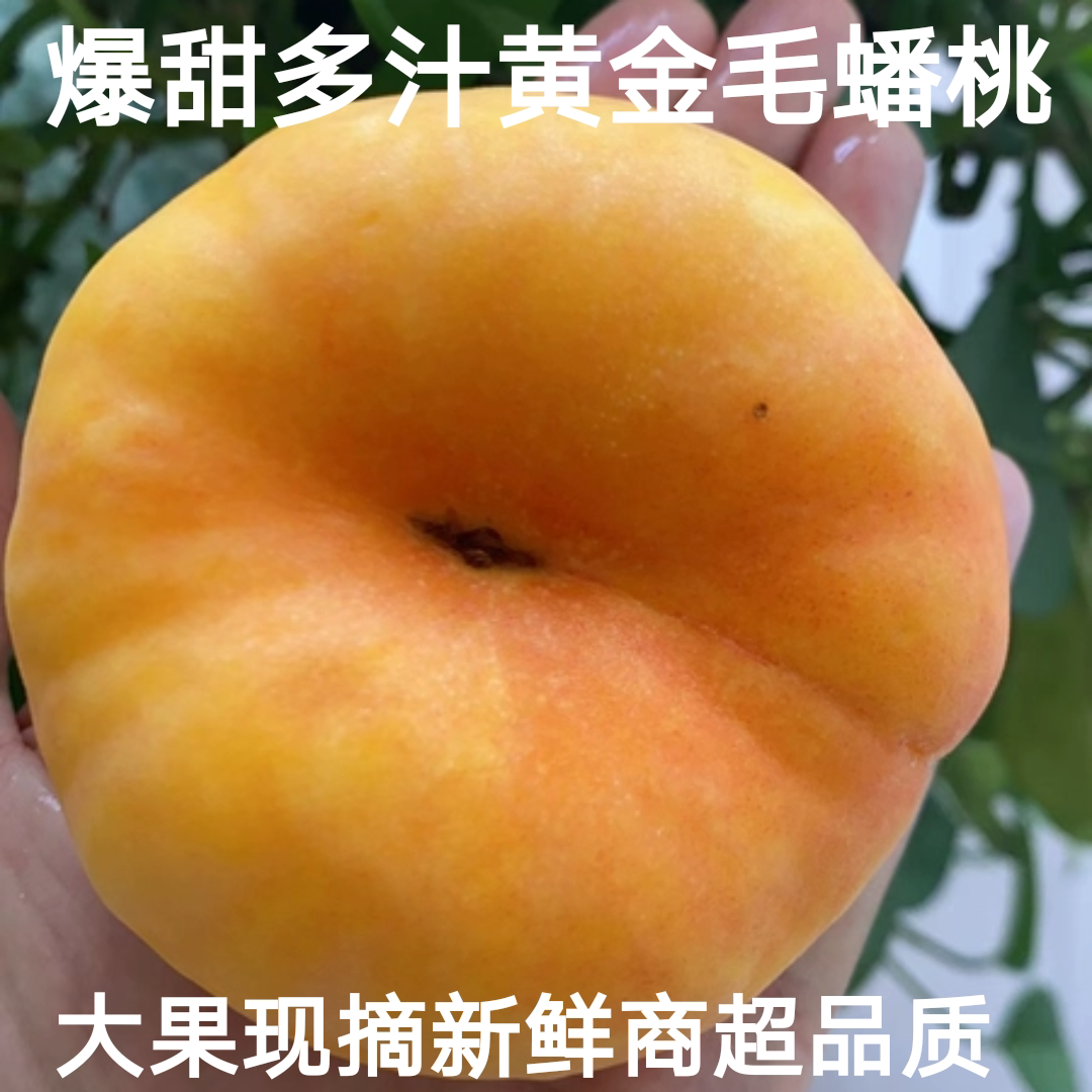 现货陕西蟠桃超甜香产地直供现摘桃