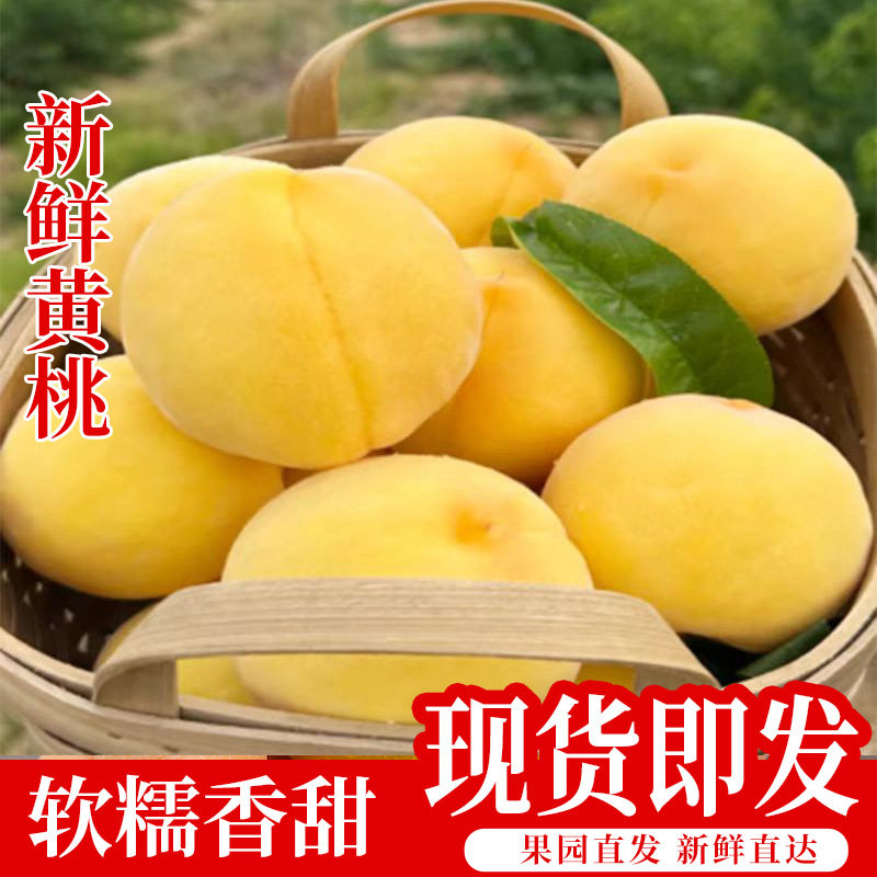 大果脆桃黄桃软糯爆甜孕妇老人剥皮当季现摘新鲜水果黄金蜜桃4.5J