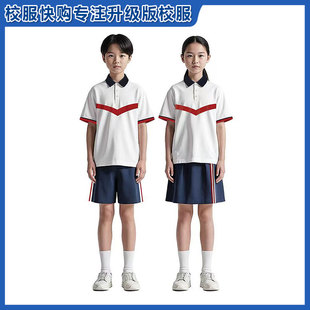漳州龙海区小学校服2025新款夏季短袖短裤短裙【下单留言学校】
