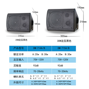 壁挂音响会议室商场扬声器背景音乐广播喇叭室内定压音箱20w30w