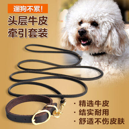 小狗狗牵引绳套装泰迪牛皮项圈