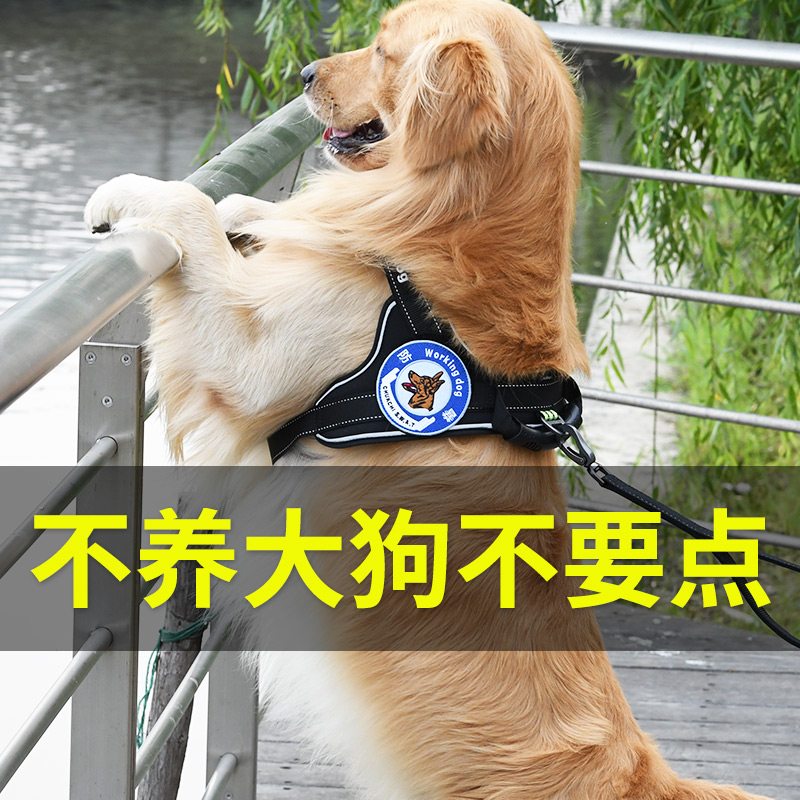 CHUKCHI狗狗牵引绳大型犬