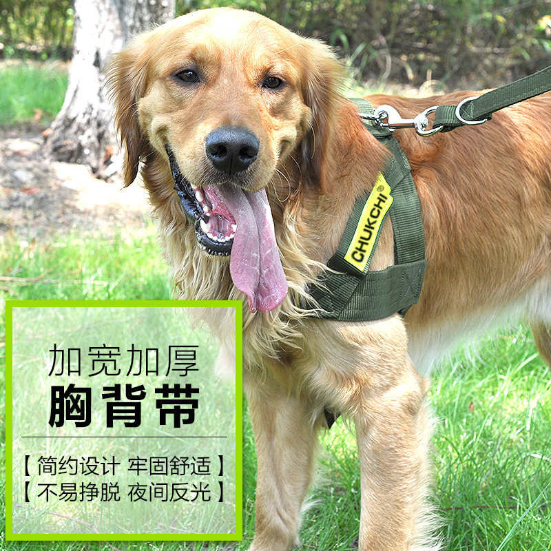 大型犬链子牵引绳拉布拉多反光带狗背心式大狗胸背带遛狗绳套装