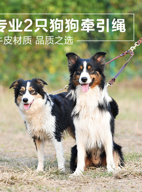 Chukchi楚克奇牛皮一拖二小中大型犬宠物双头牵引绳狗链子遛狗绳