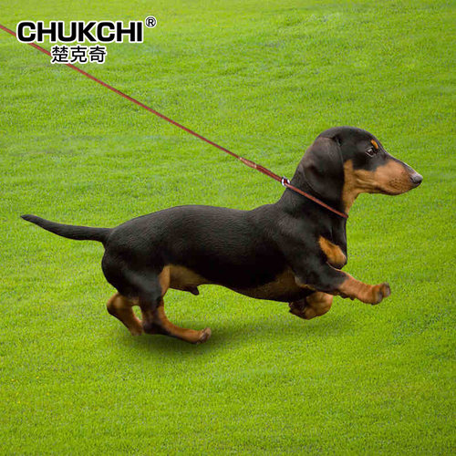 中小型犬牵绳CHUKCHI防爆冲