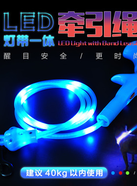CHUKCHI发光狗狗牵引绳充电狗绳子遛狗绳金毛狗链子宠物中大型犬
