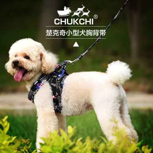 chukchi泰迪背心式宠物牵引绳
