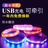 Защитный светящийся ночной водонепроницаемый чокер с поводком с зарядкой, анти-потеряшка