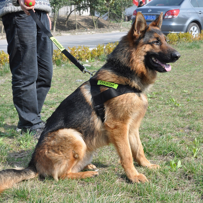 狗狗牵引绳大型犬金毛胸带背带背心式狗链子拉布拉多反光带遛狗绳-封面