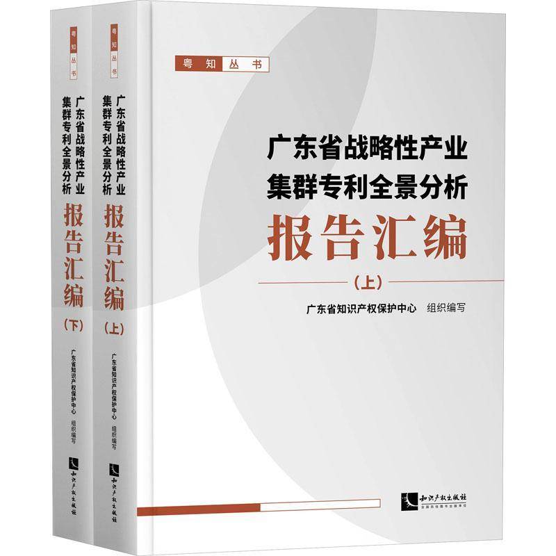 广东省战略产业集群专利全景分析报告汇编广东省知识产权保护中心组织写  社会科学书籍