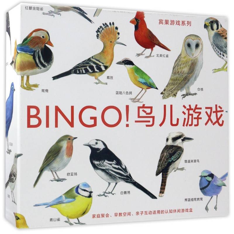 BINGO！鸟儿游戏麦克·昂温文 智力游戏儿童读物书籍