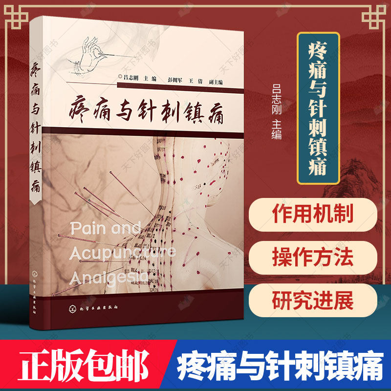 正版 疼痛与针刺镇痛 针刺阵痛技法一本通 吕志刚 中医针灸针刺治疗癌痛关节痛头痛疾病诊断技术止痛镇痛麻醉阵痛临床医学诊断书籍