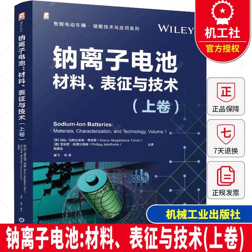 钠离子电池  材料 表征与技术 上卷  智能电动车辆 储能技术与应用系列 锂资源不足 新能源行业 负极材料 石墨 硬碳 合金负极