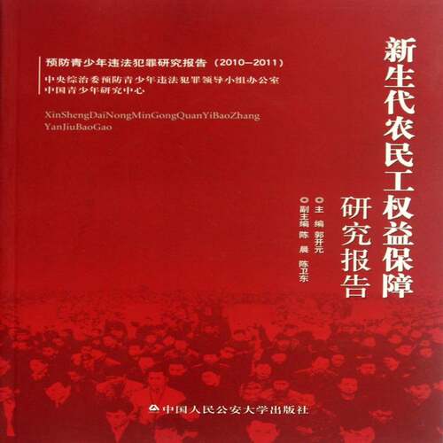 新生代农民工权益保障研究报告郭开元  法律书籍