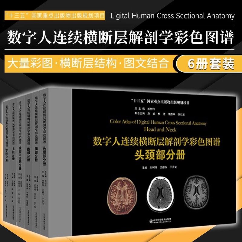 数字人连续横断层解剖学彩色图谱全套六本腹部+盆部与会阴+上肢+下肢+头颈部+胸部分册人体局部系统CT与MR解剖图谱临床格氏解剖学图片