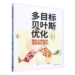 多目标贝叶斯优化:面向大模型的超参调优理论徐华  工业技术书籍