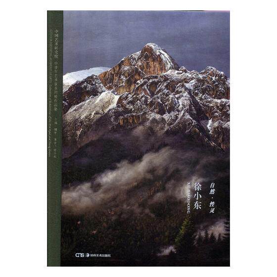 正版包邮 自然&middot;性灵 徐小东 零基础学油画技法基础自学教程油画入门书籍 手绘油画抽象油画作品集 美术教材绘画教程书籍