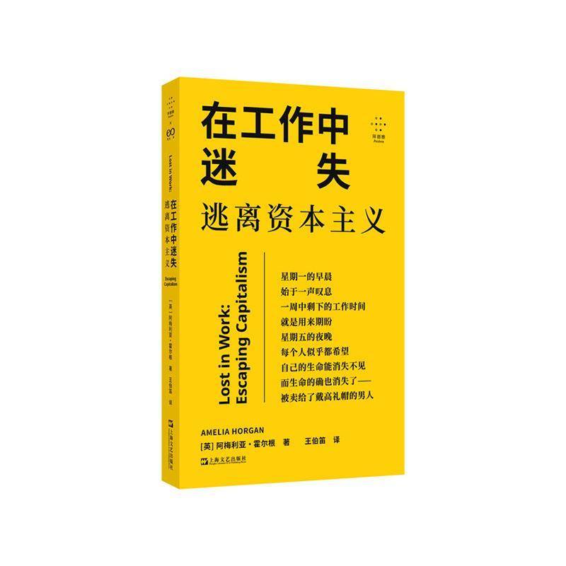 在工作中迷失:逃离资本主义阿梅利亚·霍尔根  社会科学书籍