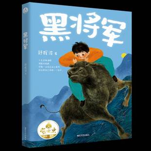 黑将军舒辉波 儿童读物书籍