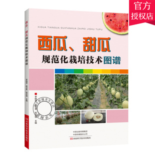 西瓜 甜瓜规范化栽培技术图谱 农业种植栽培书西瓜甜瓜品种集约化育苗 西瓜甜瓜栽培技术病虫害绿色防控技术操作书籍