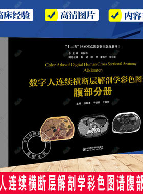 数字人连续横断层解剖学彩色图谱腹部分册 汤煜春 于德新 任福欣 主编 断层彩色图像 腹前外侧壁结构 CT常规扫描和增强扫描的图
