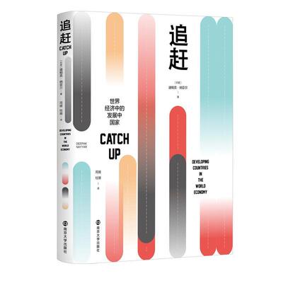 追赶:世界经济中的发展中国家:developing countries in the world economy迪帕克·纳亚尔  小说书籍
