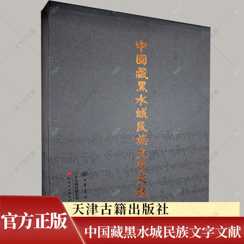正版 中国藏黑水城民族文字文献 主要集中西夏蒙元时期其中以蒙元时期文书数量多为研究西夏蒙元史提供了珍贵的史料书籍