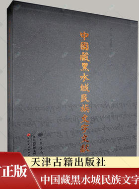 正版 中国藏黑水城民族文字文献 主要集中西夏蒙元时期其中以蒙元时期文书数量多为研究西夏蒙元史提供了珍贵的史料书籍