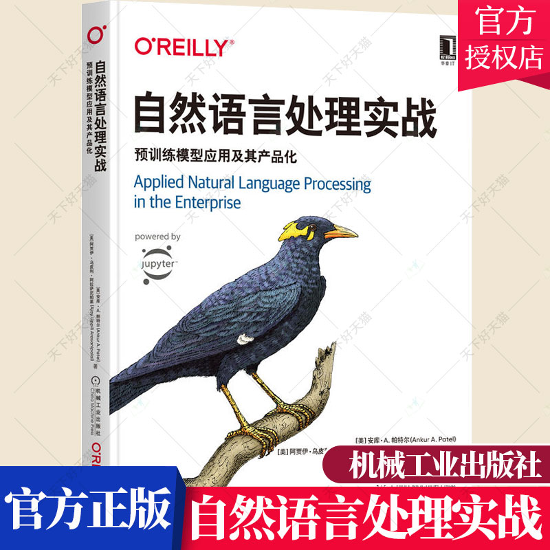 自然语言处理实战 预训练模型应用及其产品化 自然语言处理模型部署运维书籍 使用Python和PyTorch实现一套自然语言处理算法书籍