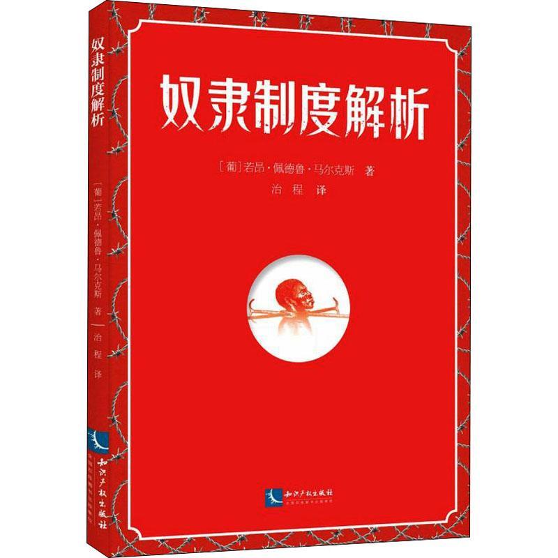 奴隶制度解析若昂·佩德鲁·马尔克斯普通大众奴隶贸易历史非洲历史书籍