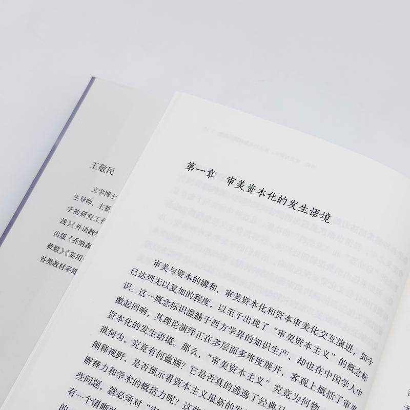 审美资本化王敬民  哲学宗教书籍