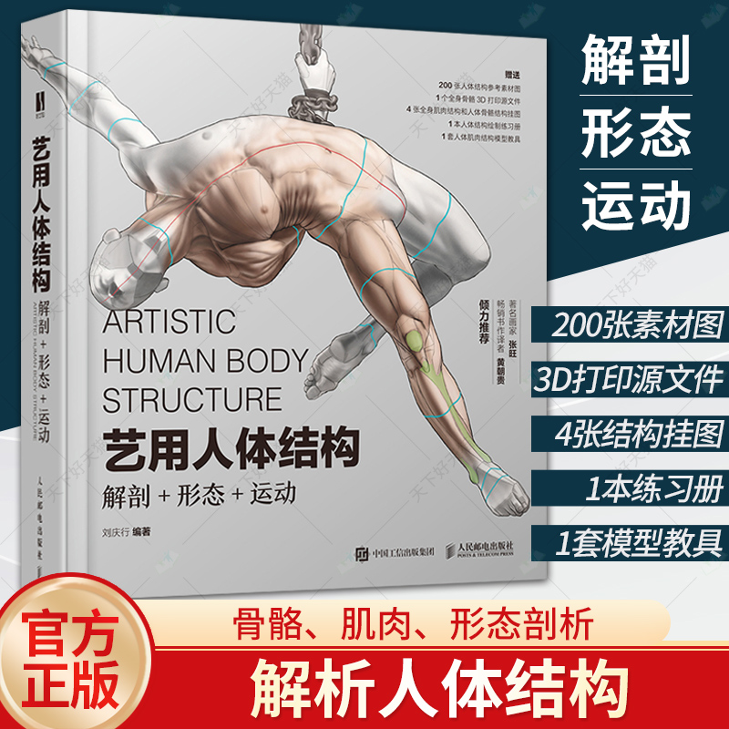 正版包邮 艺用人体结构 解剖形态运动 全彩肌肉结构人体骨骼理解人体形态学画画游戏动漫人物绘画原理教学临摹素材 绘画技法教程书