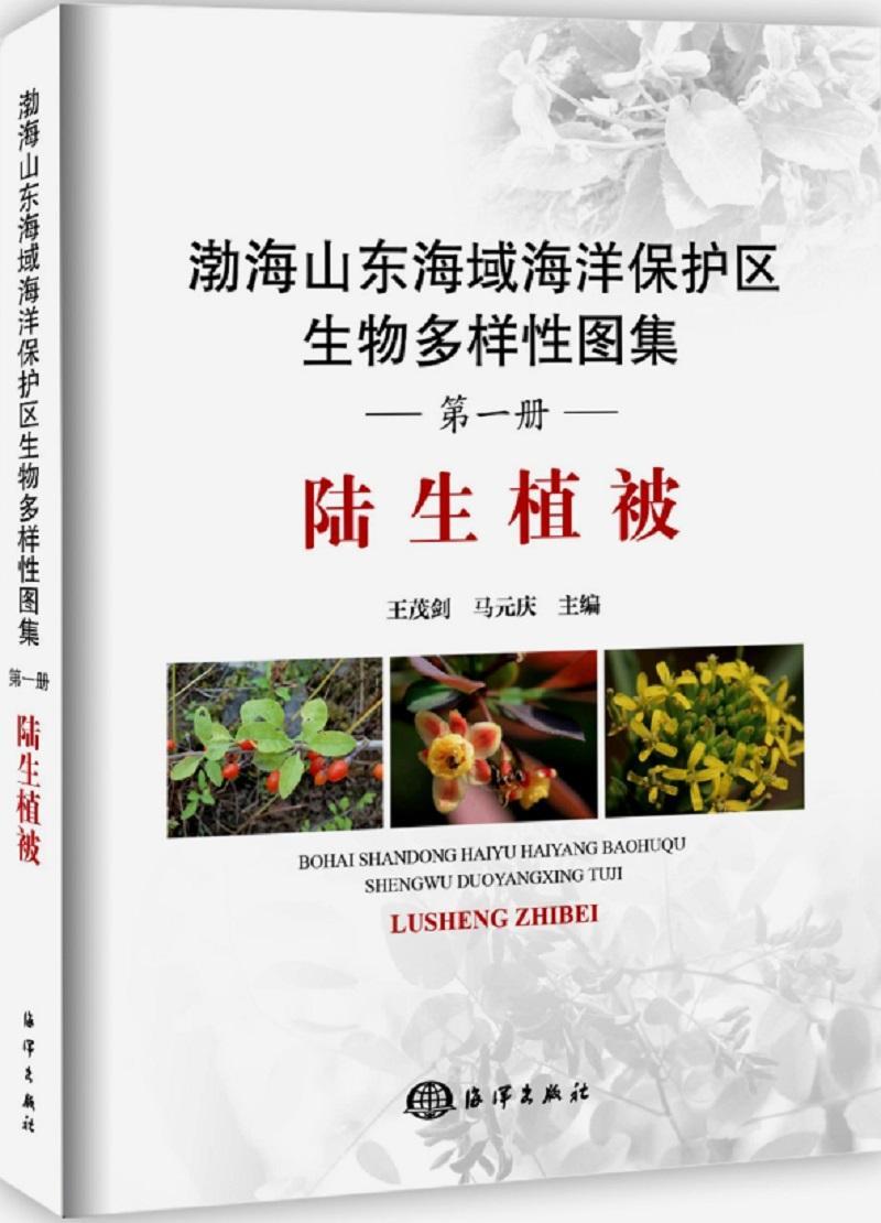 渤海山东海域海洋保护区生物多样图集：册：陆生植被茂剑 渤海自然保护区生物多样山东图集自然科学书籍