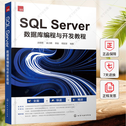 SQL Server 数据库编程与开发教程 武相军 崔占鹏 李辰 SQL Server 2019编程语言与数据库开发概念技术 T-SQL操作书籍