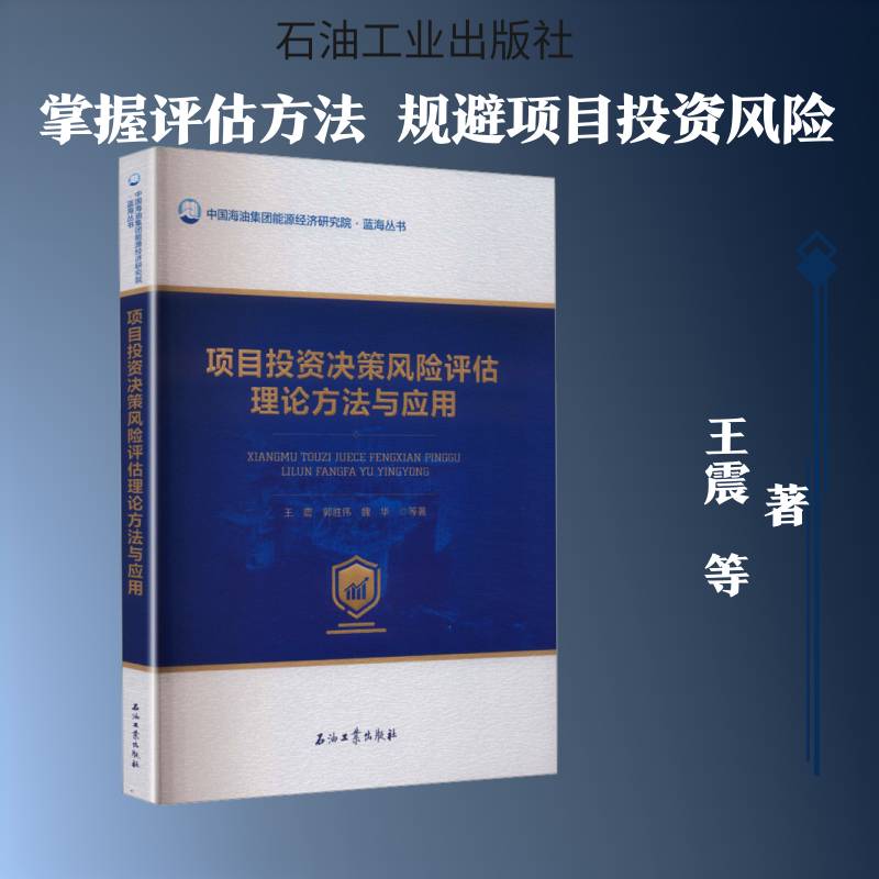 项目投资决策风险评估理论方法与应用 图书书籍