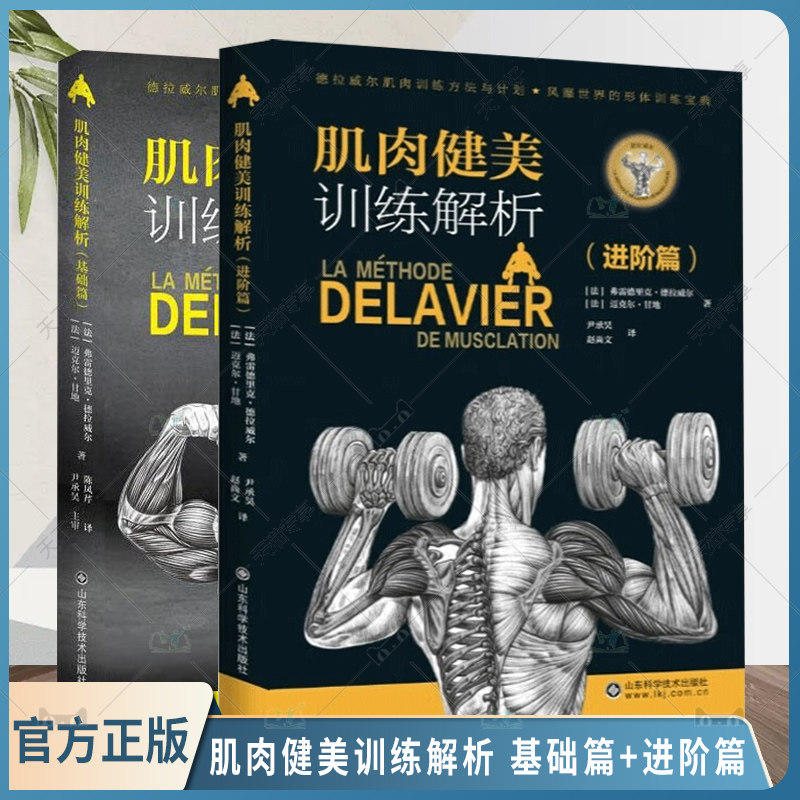 2册 肌肉健美训练解析 基础篇+进阶篇 常用健身动作锻炼手臂肩膀背部肌大腿前侧肌肉大腿内侧肌肉 肌肉解剖素描 肌肉健美训练计