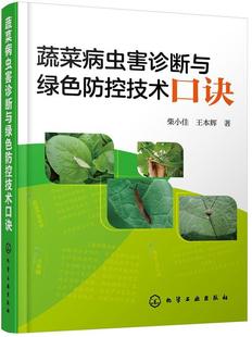 9787122328885 柴小佳 林业 包邮 书籍 农业 蔬菜病虫害诊断与绿色防控技术口诀 社 正版 化学工业出版