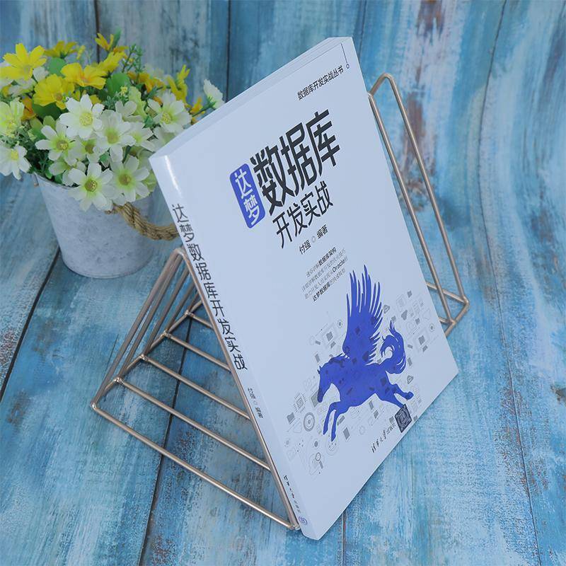 达梦数据库开发实战付强  计算机与网络书籍