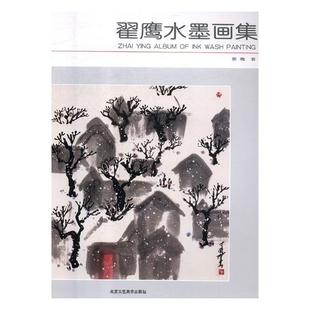 正版包邮 翟鹰水墨画集 彩墨画教程 水墨画入门教材书自学水墨画教程书水墨技法笔法调色方法 彩墨画教材美术培训教材