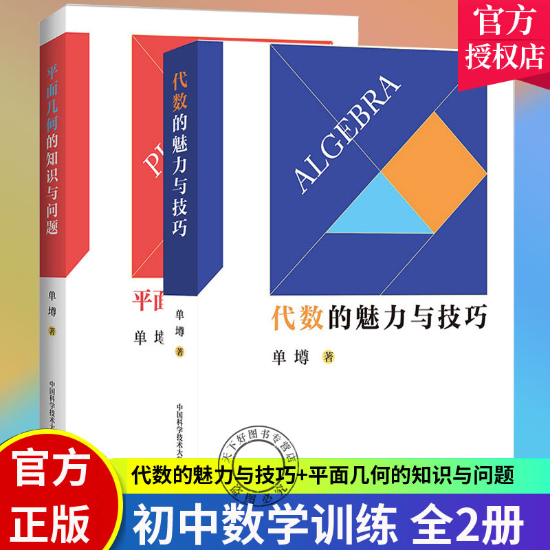 中科大初中数学代数的魅力与技巧+平面几何的知识与问题 单墫 初一初二初三初中数学解题规律方法与技巧789年级2021中考数学必刷题