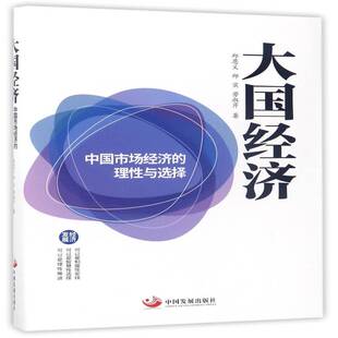 大国经济:中国市场经济的理性与选择邱恩义 中国经济社会义市场经济研究经济书籍