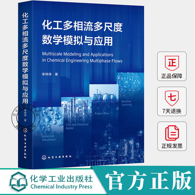 化工多相流多尺度数学模拟与应用 李伟伟 化工模拟原理方法书籍 材料制备过程模拟化工单元操作指南书籍 化学工业出版社